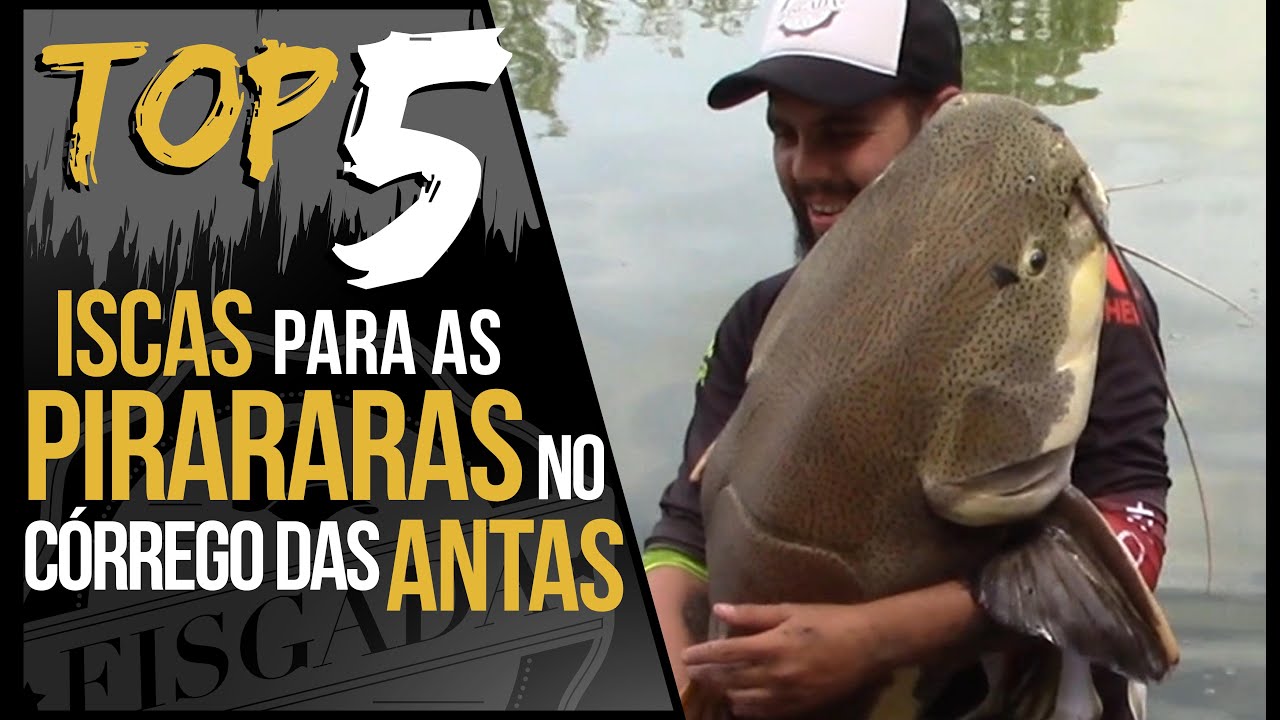 TOP 5 - ISCAS PARA PIRARARAS NO CÓRREGO DAS ANTAS