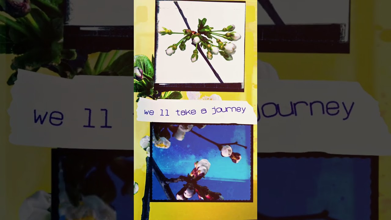 Lucy Kitchen - Sunny Days (lyric video)