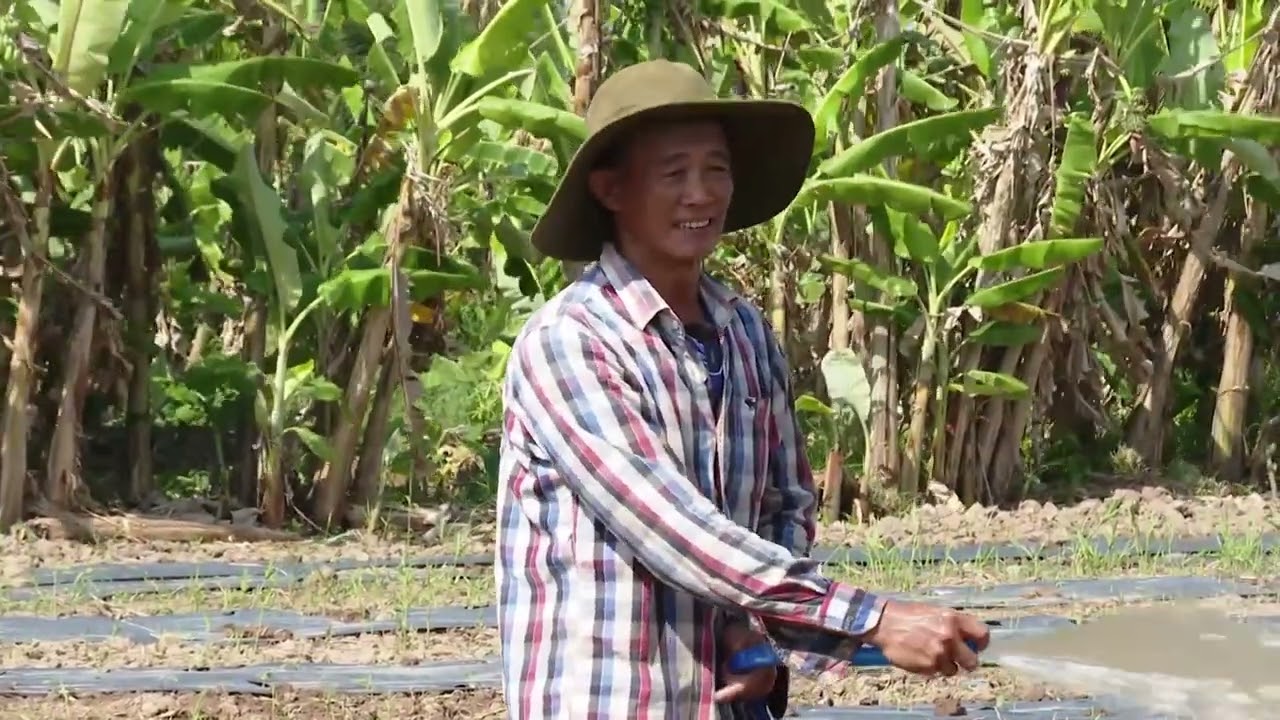 CÀ MAU HỖ TRỢ NGƯỜI NGHÈO CÓ THÊM THU NHẬP | tutomtute