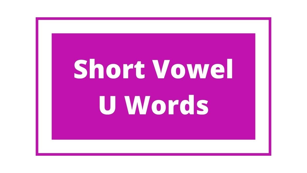 Read 3 letter short vowel U Word Family words / CVC / short vowel / 3 Letter words/ Phonics
