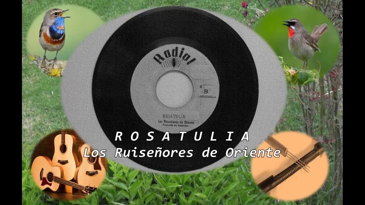 ROSATULIA  Los Ruiseñores de Oriente