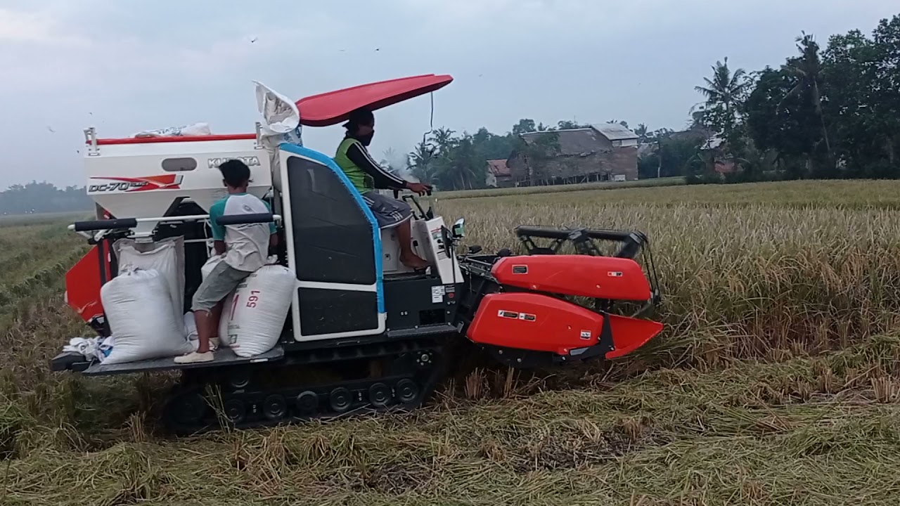 Perdana Combine DC70 Plus Terjun di lahan • Combine Kubota DC70plus