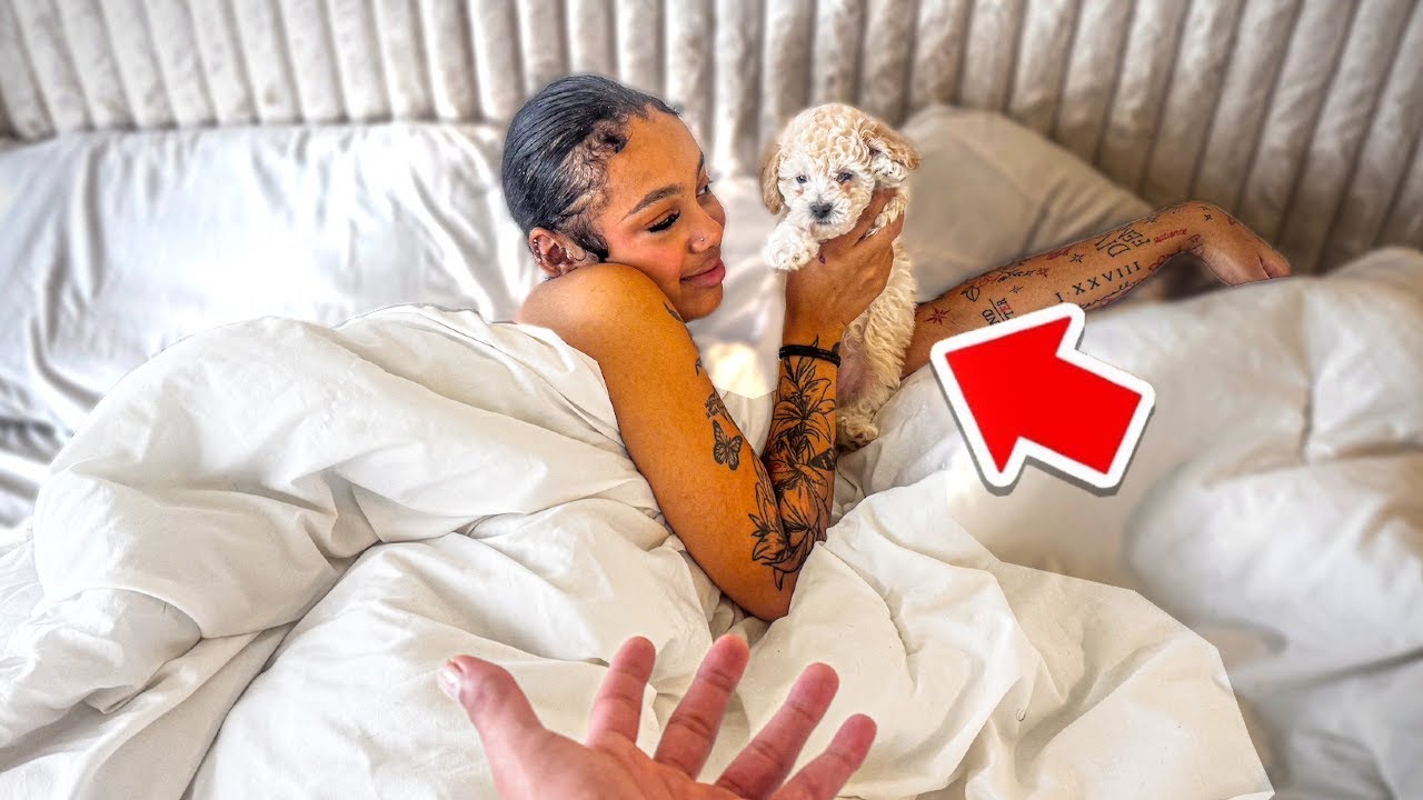 Surprising My Girl With A Puppy For A Early Valentine’s Day Gift! 