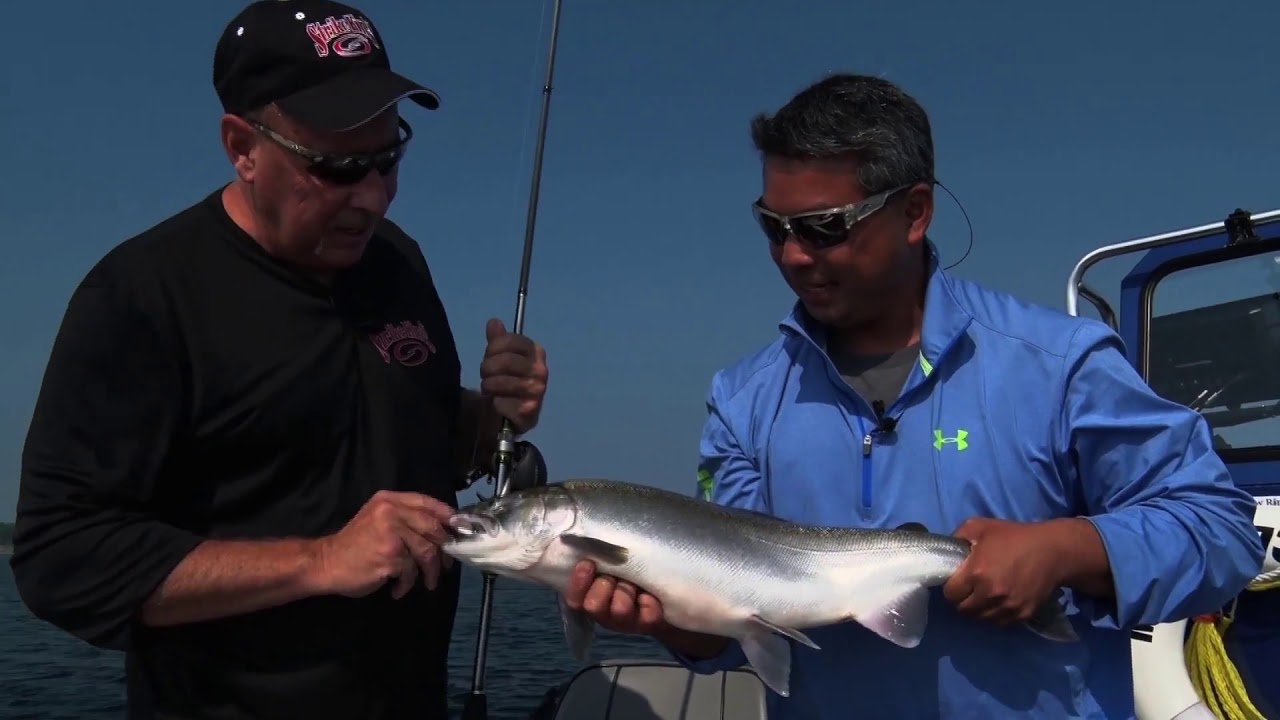 Vertical Jigging for Kings and Coho