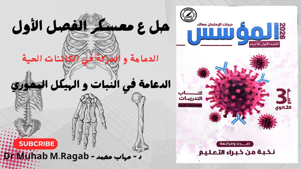حل الدعامة في النبات و الهيكل المحوري | كتاب المؤسس | #أحياء_تالتة_ثانوي #دفعة_2026 #الدعامة