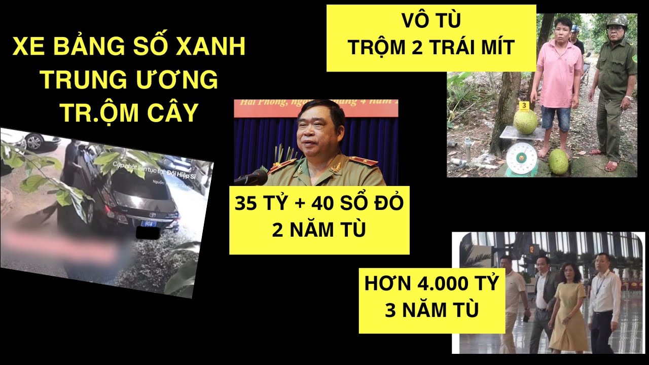 #1577: Đồng Ch&iacute; N&agrave;o Đ&atilde; &ldquo;Tiện Tay&rdquo; Rinh C&acirc;y Nh&agrave; D&acirc;n? | 31.10.25