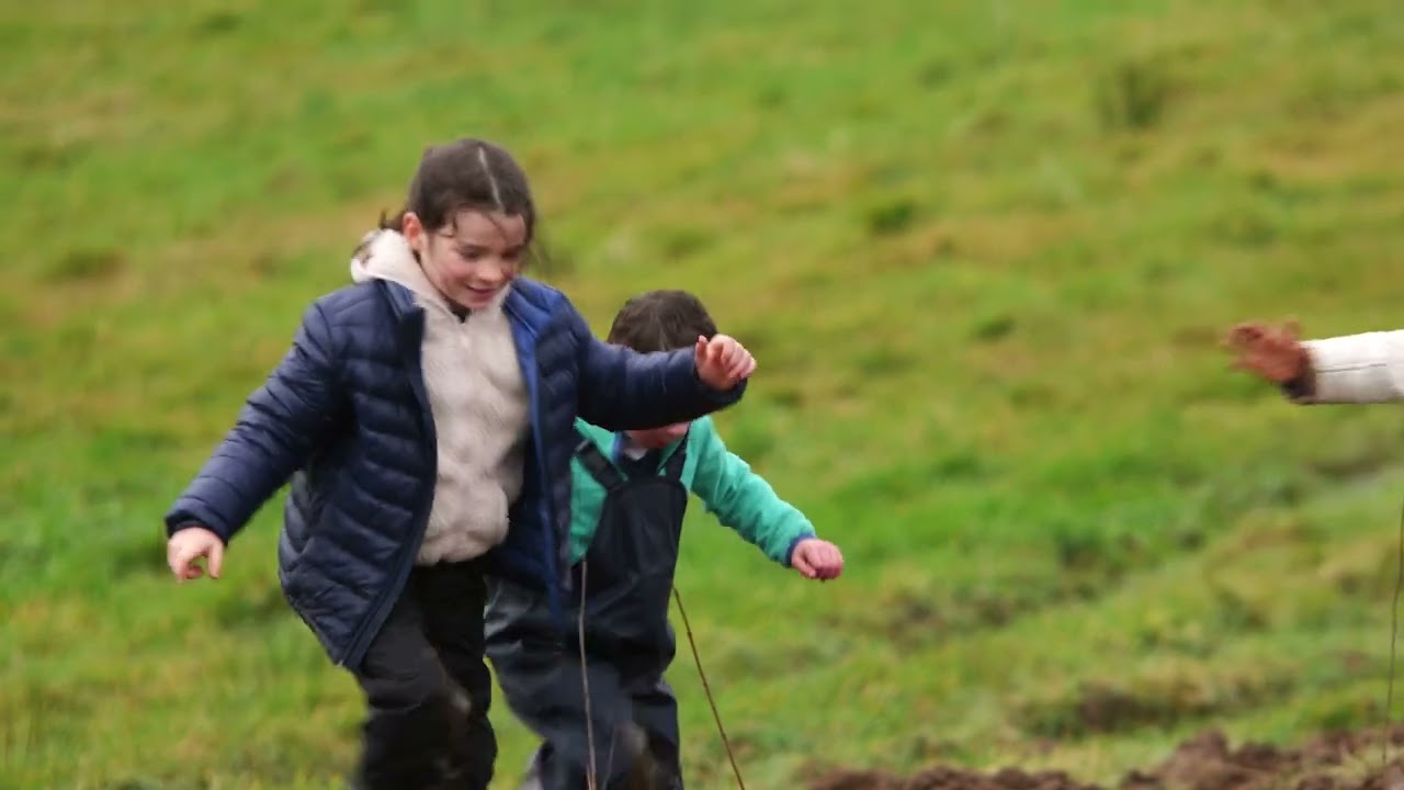 Irish Fencing Services planting trees for the future