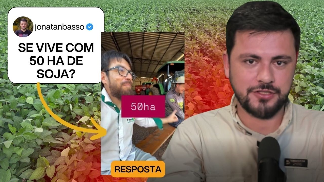 É possível viver com 50ha de GRÃOS?