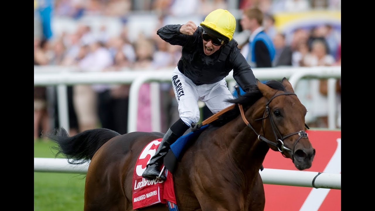 Masked Marvel - Ladbrokes St Leger (2011)