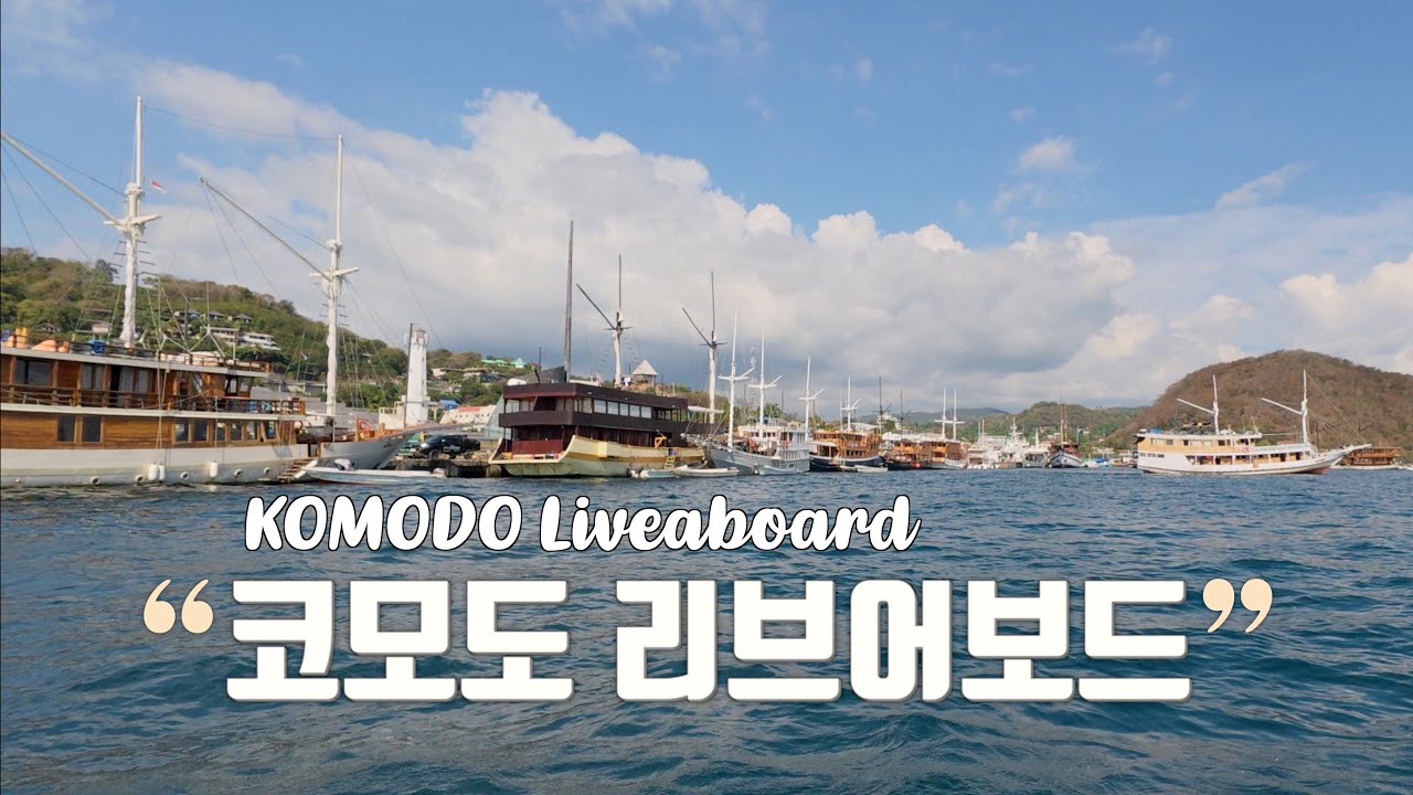 코모도 리브어보드 | 코모도로 향하는 여정 | ep.1 | IDARO
