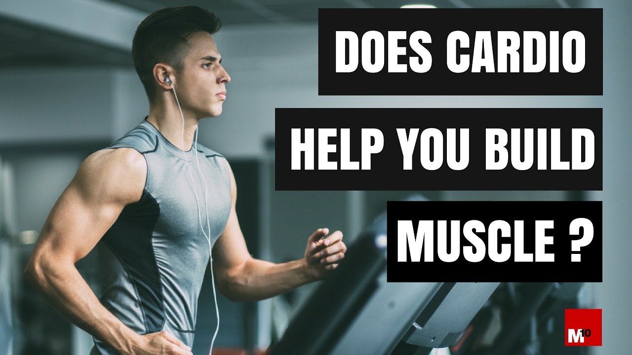 Does cardio help you build muscle?