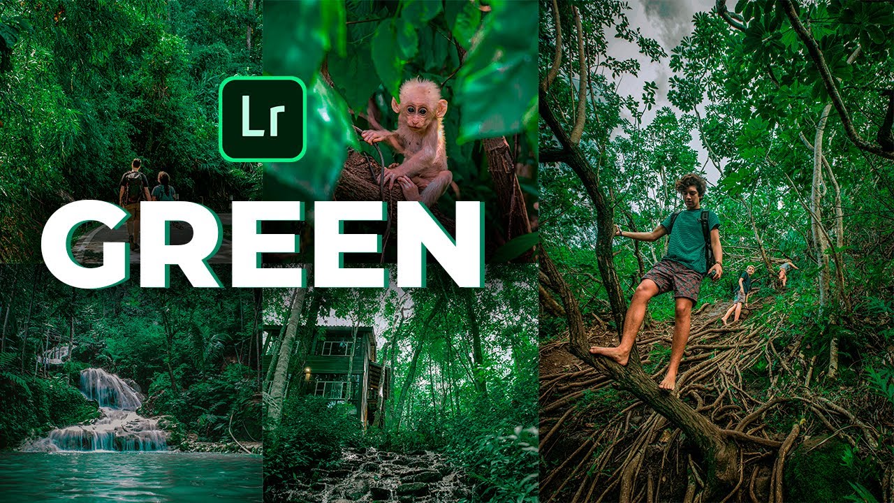 Como editar fotos en lightroom mobile (PRESET GRATIS 🔥) efecto 