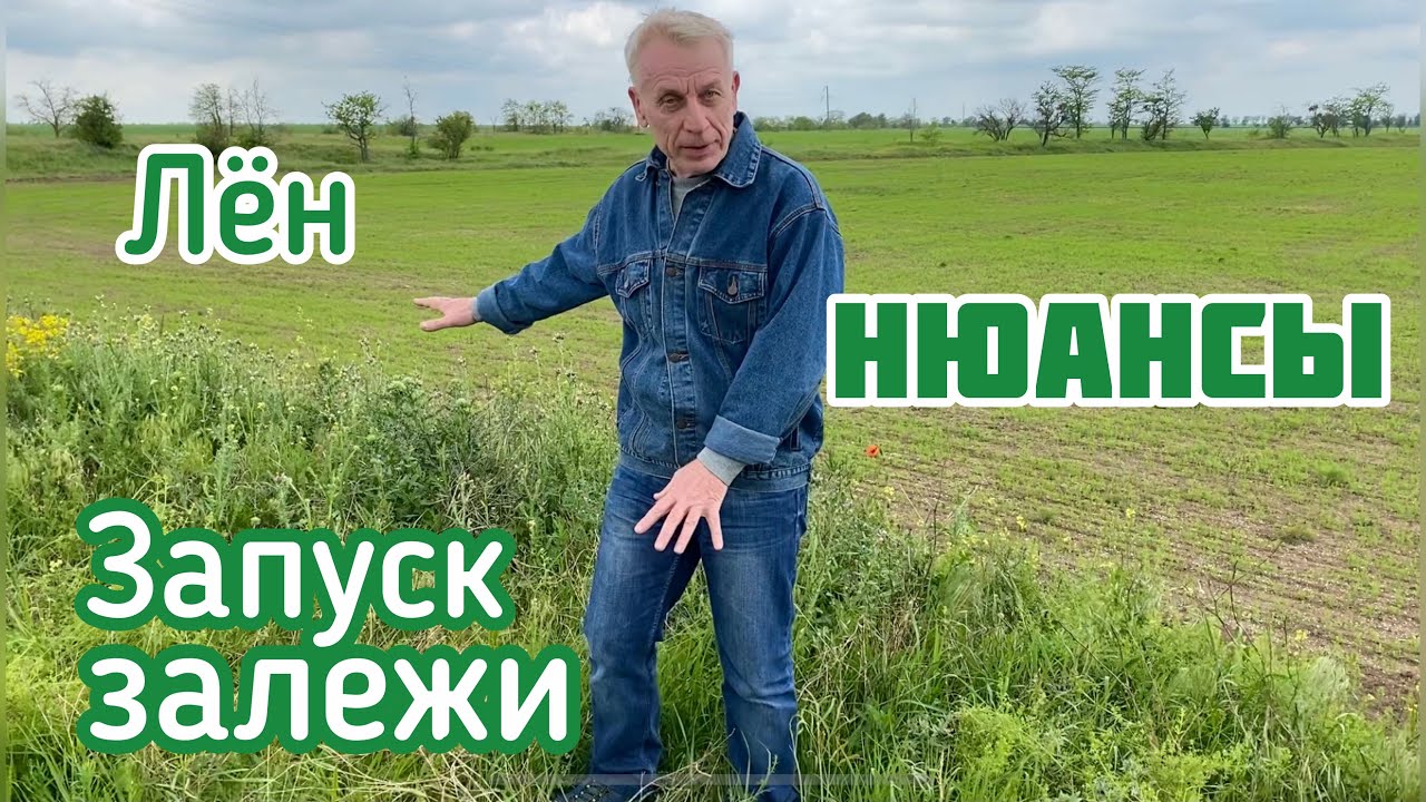 Нюансы запуска залежных земель без обработки почвы