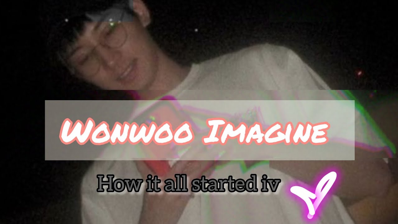 Wonwoo Imagine: How it all started iv | YN POV | Part 9
