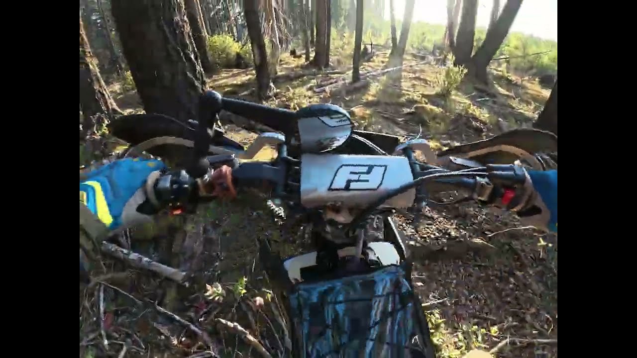 Secret Single track in a magical wood