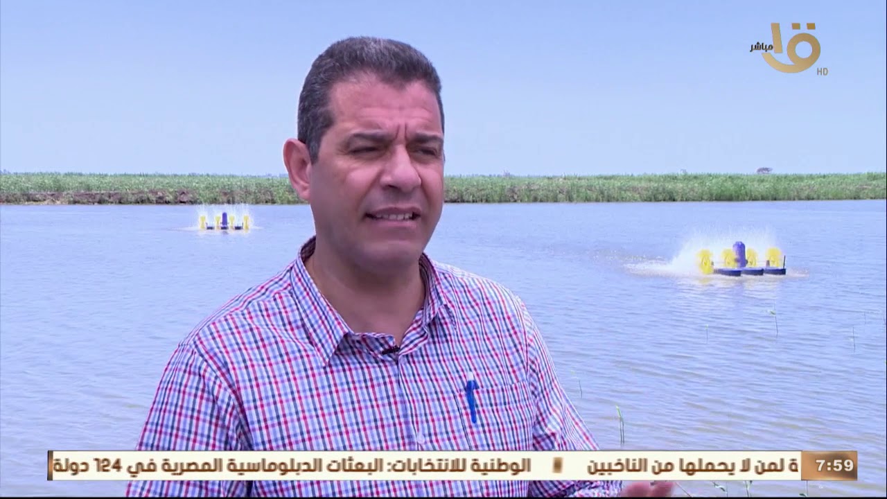 صباح الخير يا مصر | جولة في مزرعة الزاوية السمكية في كفر الشيخ
