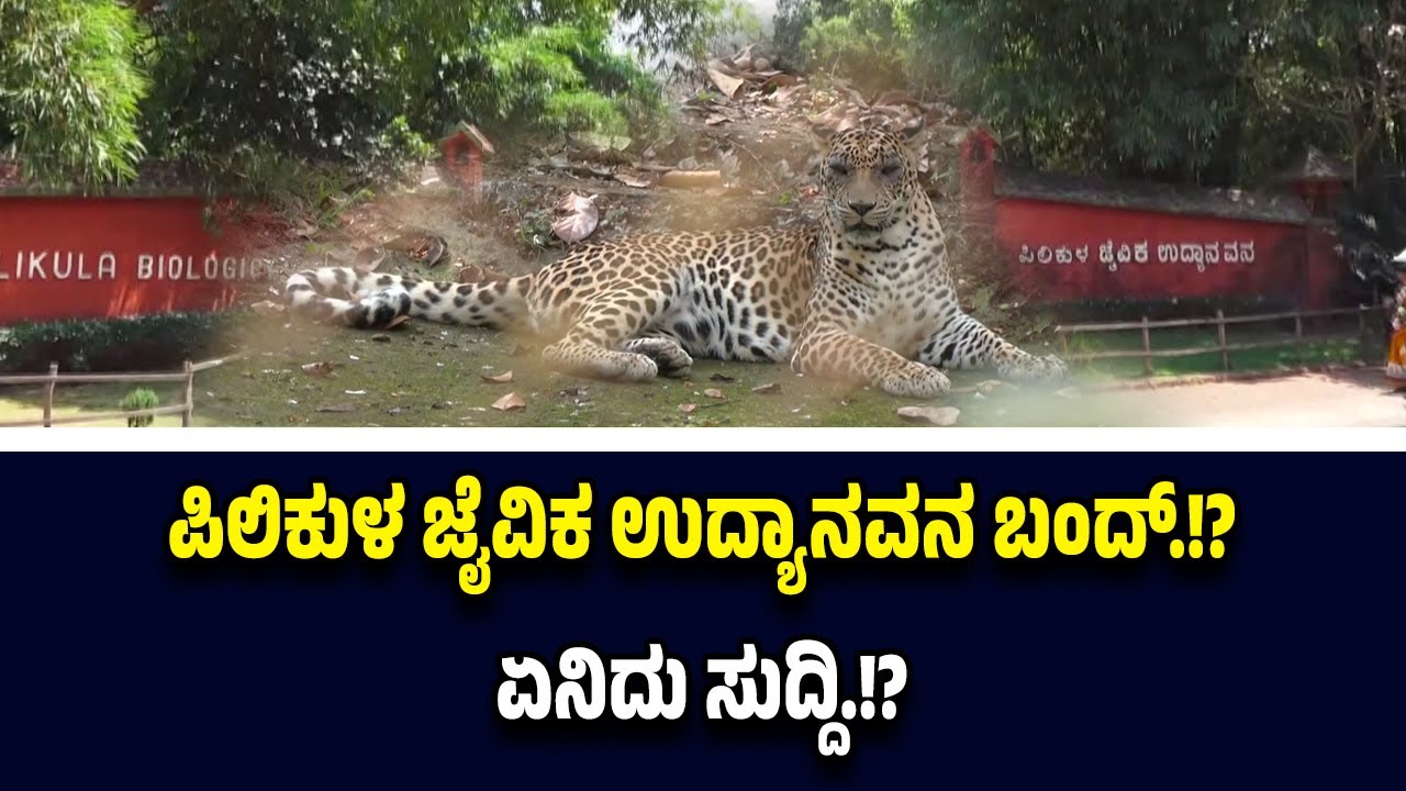 ಸಂಕಷ್ಟಕ್ಕೆ ಸಿಲುಕಿದ ಪಿಲಿಕುಳ ಜೈವಿಕ ಉದ್ಯಾನವನ..! ಬಂದ್ ಆಗಲಿದೆಯೇ ಮೃಗಾಲಯ.!?