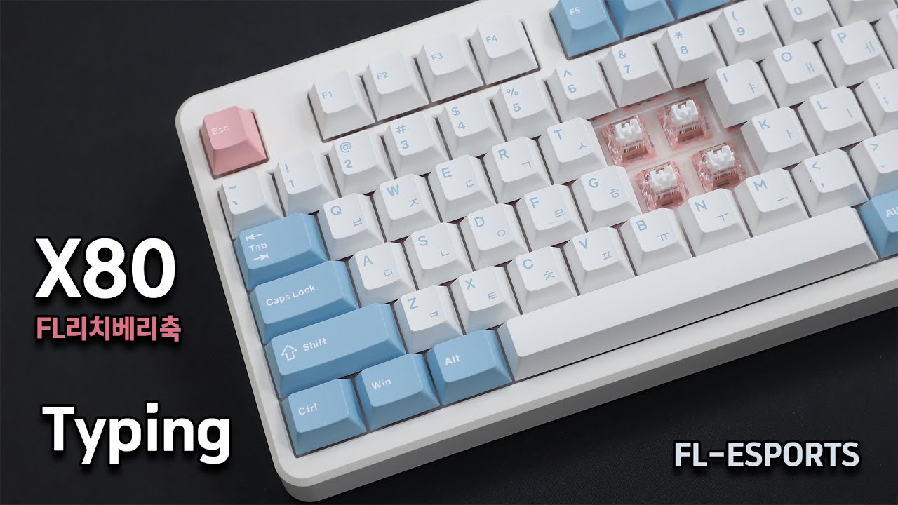 FL-ESPORTS X80 리치베리축 타건