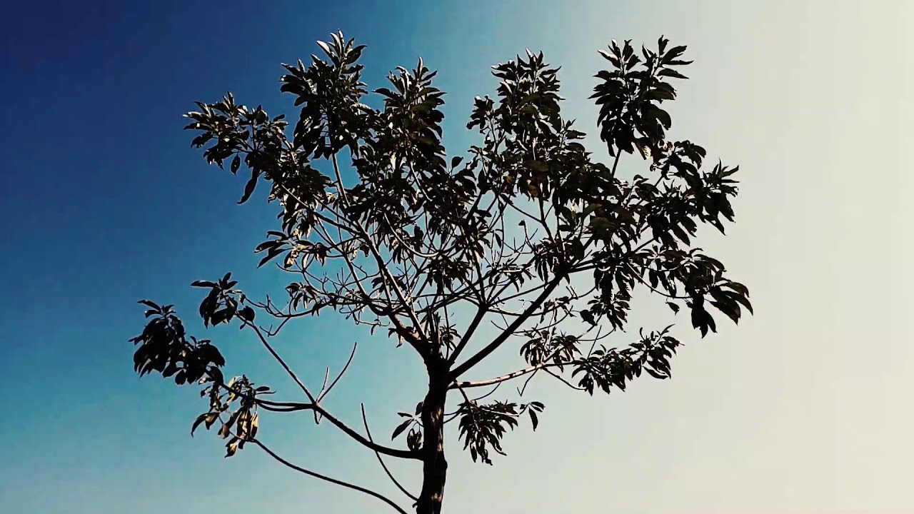 Let Your Desire Flow To You | Manifestation Meditation Music | Subconscious Mind Programming