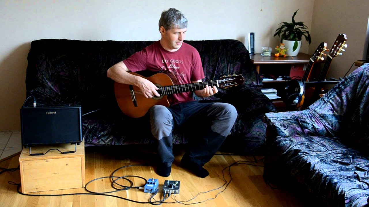 Pachelbel´s Canon in D (looper cover)