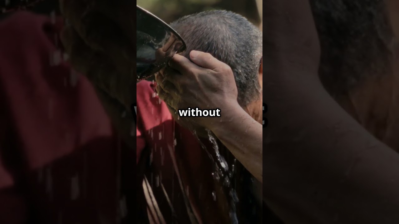 Shaolin Wisdom: The Trust Paradox