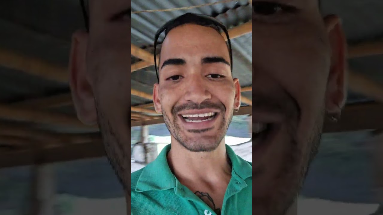 cría de cerdos en cama profunda o seca ✅️🐖