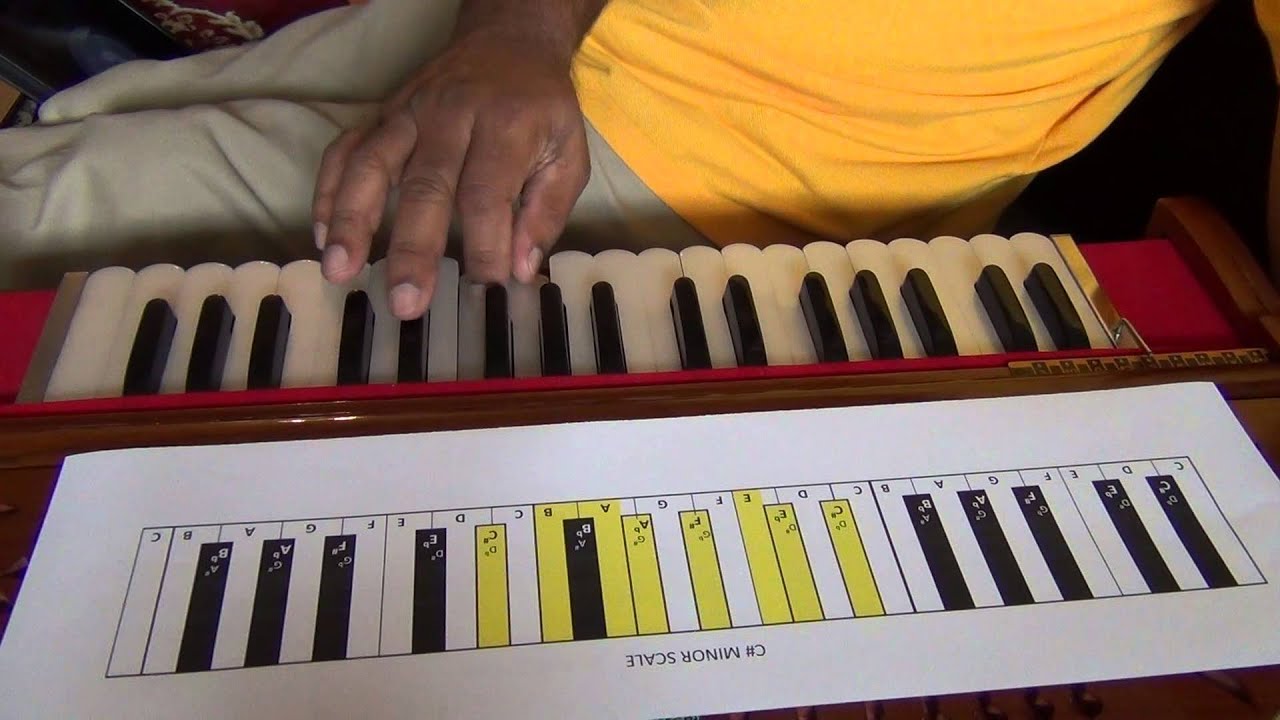 204 Harmonium Lessons for Beginners
