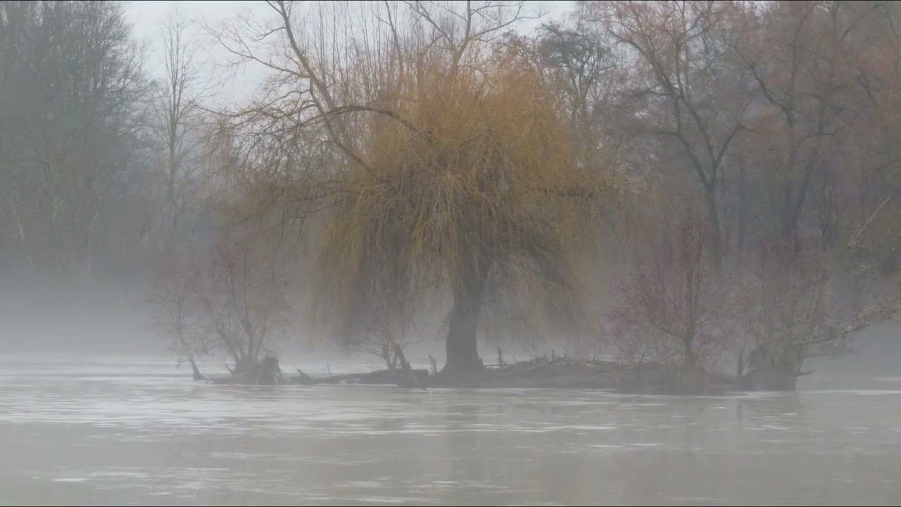 winternebel