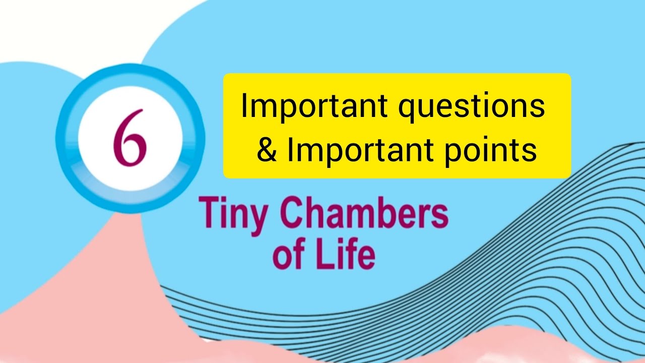 Class 6 Basic science| part 2| Tiny chambers of life| Important questions & points #important 
