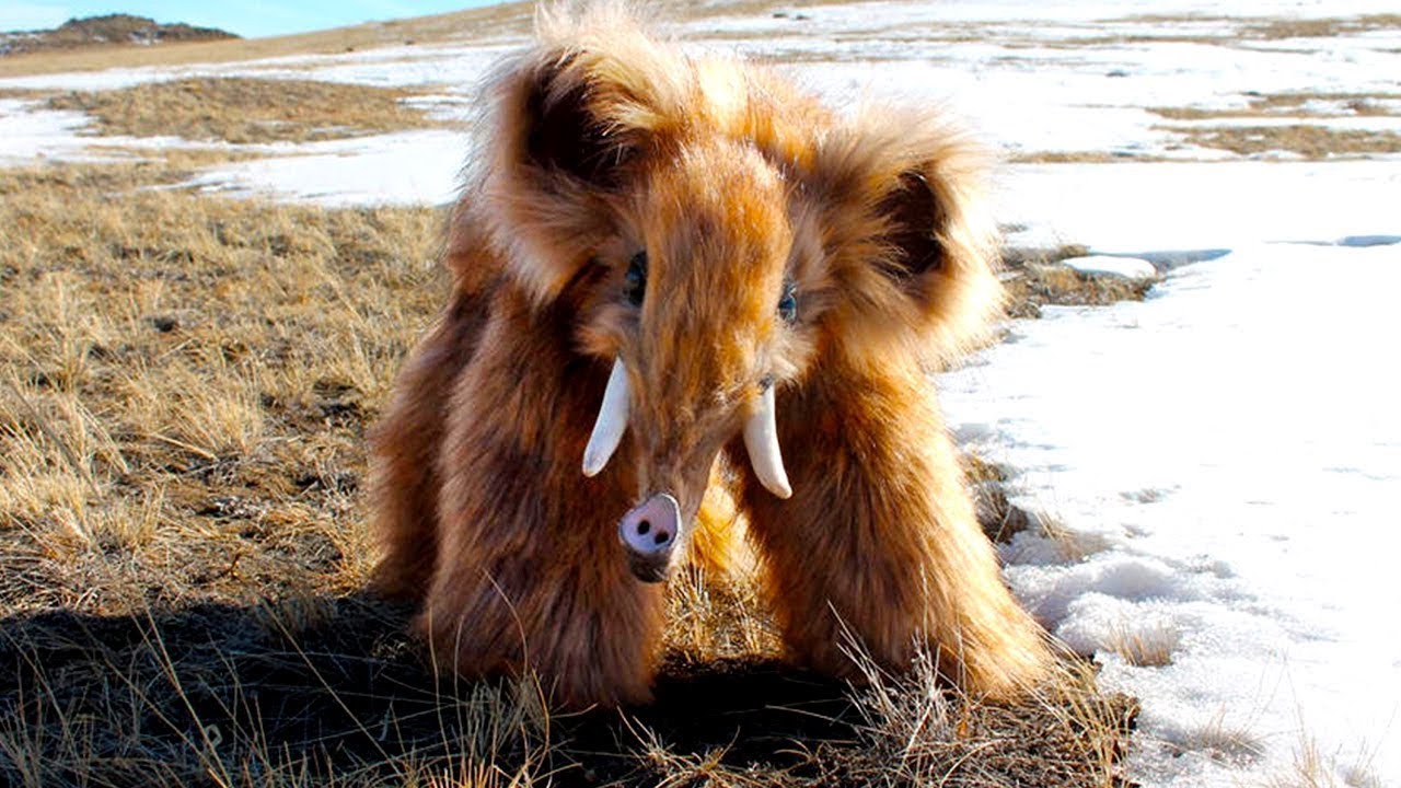 Animales Que Pronto Regresarán De La Extinción