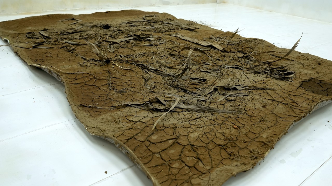 Over 40 Liters of Thick Mud Poured Out in Seconds… Insanely Satisfying – Carpet Cleaning ASMR