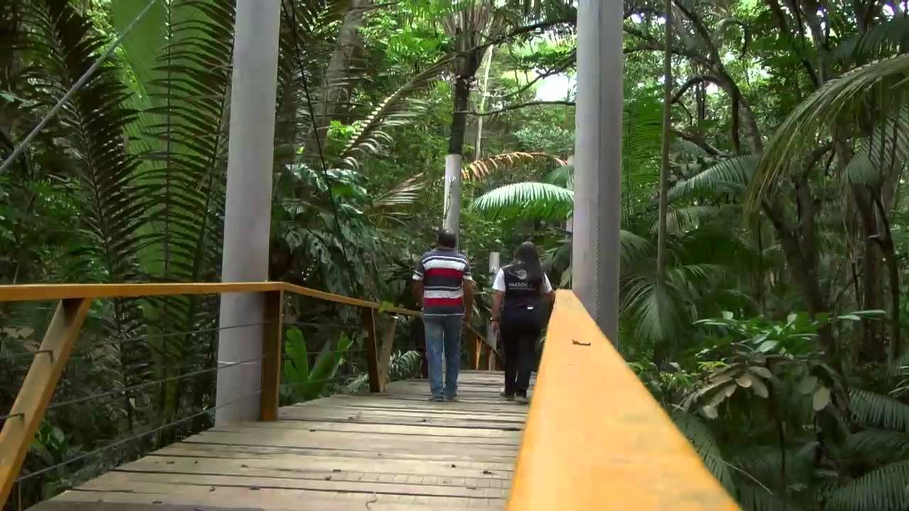 Estação Turismo | Fauna e Flora | Parque do Mindu