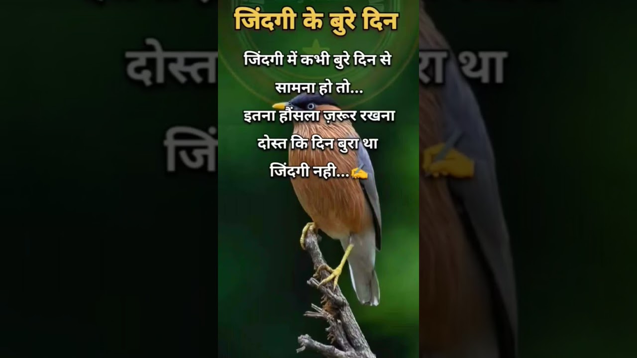 jindagi ke liye, 👍 teacher SM teacher
