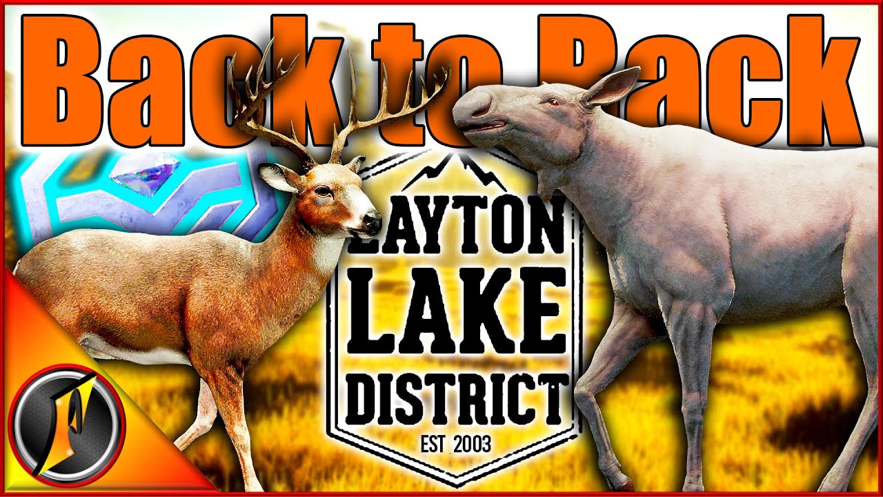 BACK TO BACK Trophies! | Diamond Whitetail & Albino Moose!