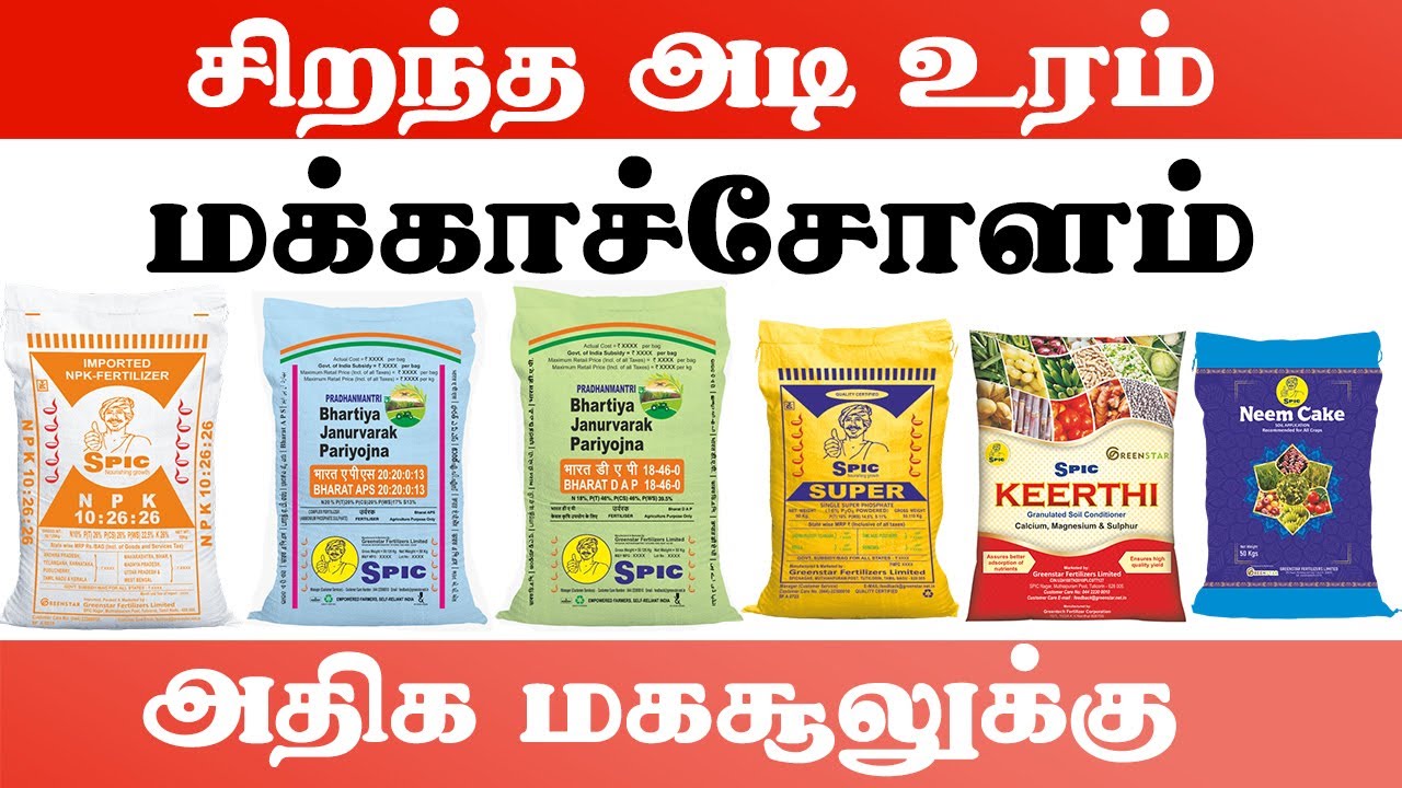 மக்காச்சோளம் சிறந்த அடி உரம் | அதிக மகசூலுக்கு | Maize Fertilizer | COrn CUltivation