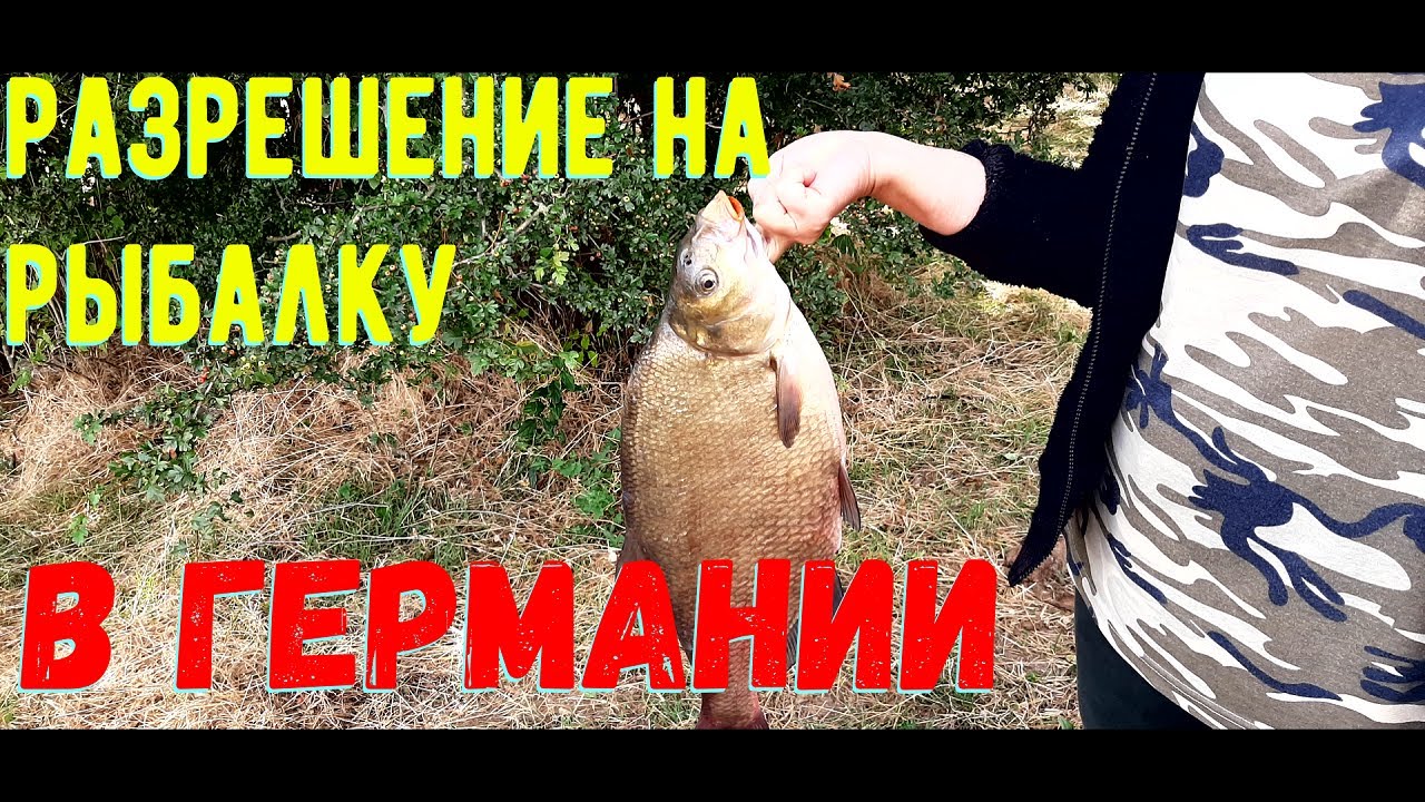 ▶️ Разрешение и правила на рыбалку в Германии.Есть разрешение, лови спокойно рыбу. Ангельшайн. Карп