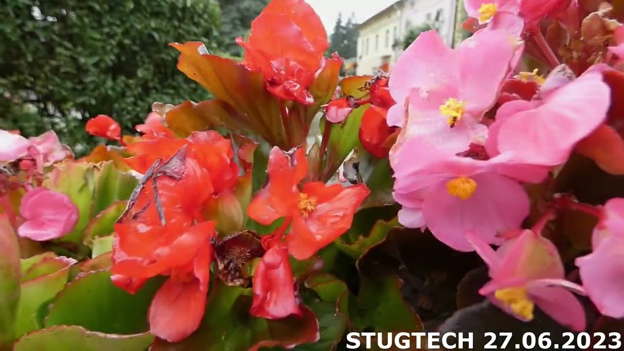 Miasto Lesko w Bieszczadach