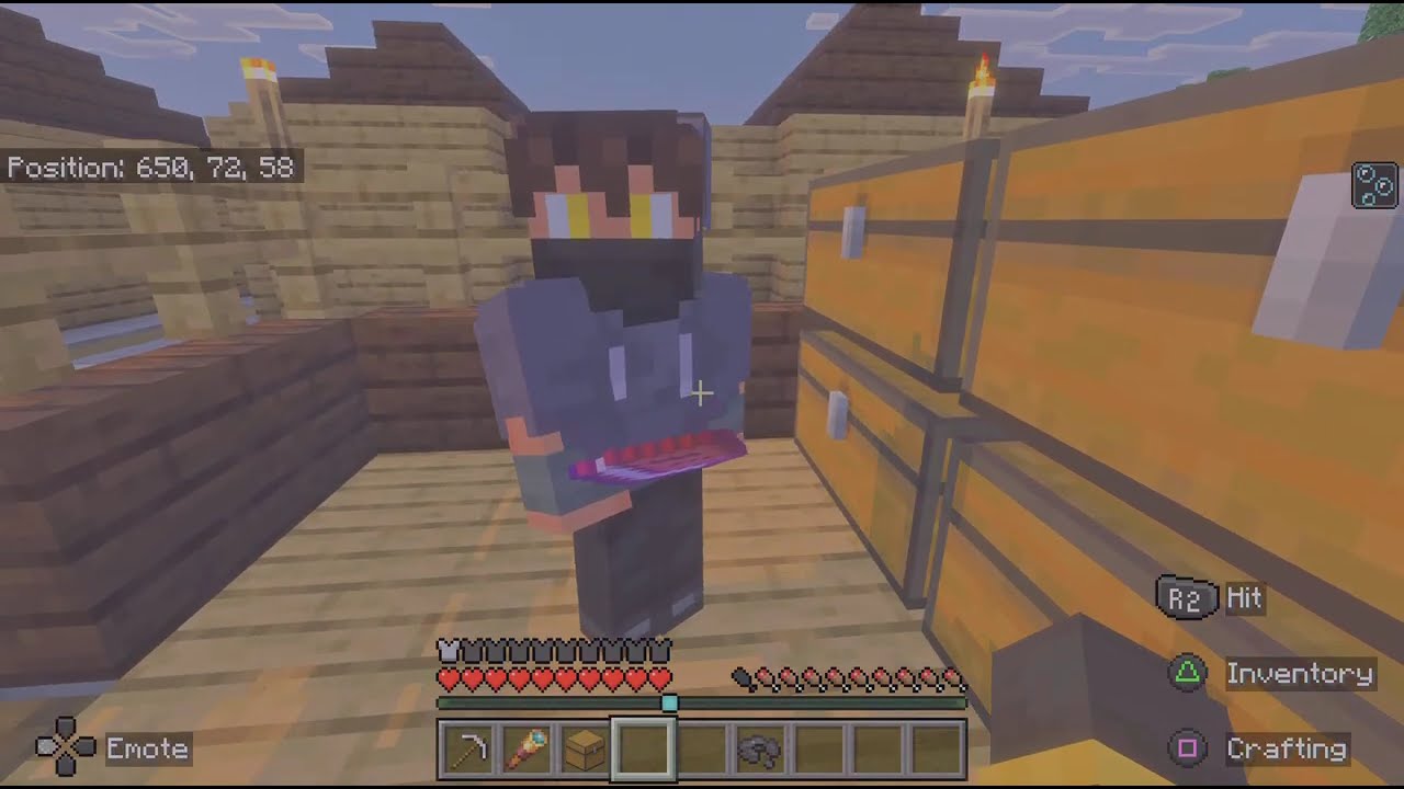 I joined the Variety SMP...