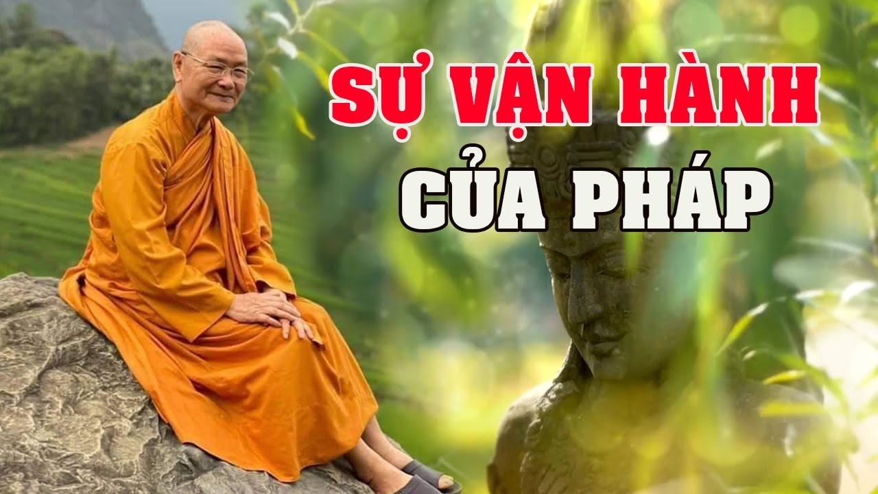 Thấu Hiểu Sự Vận Hành Của Pháp | Thầy Viên Minh Giảng | Pháp Thoại Vấn Đáp