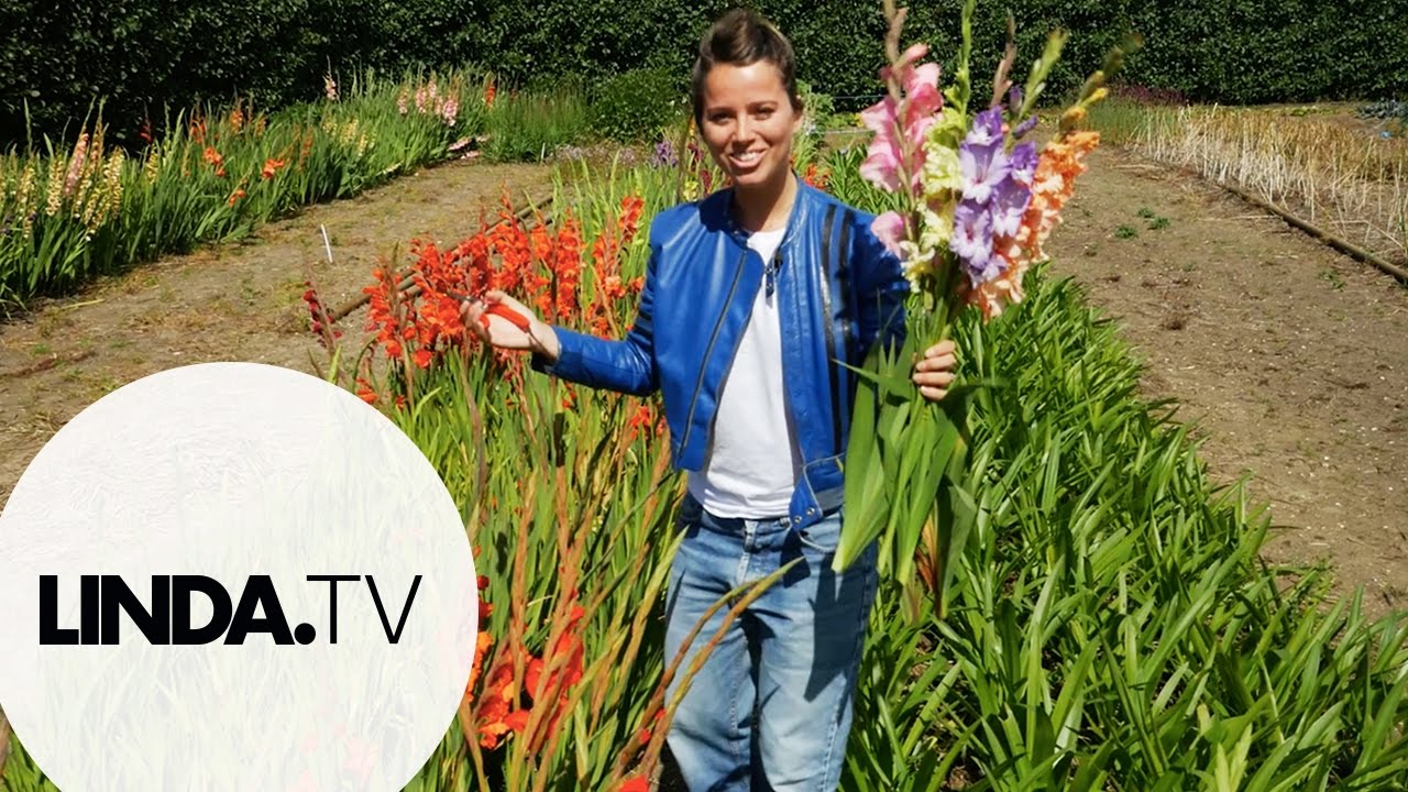 Bruidsbloemen plukken || Afl. 5 Dagboek van een weddingplanner || LINDA.tv
