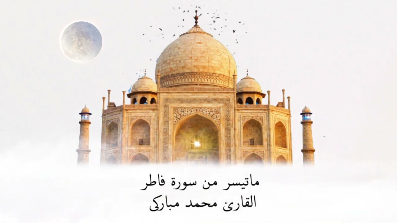 ماتيسر من سورة فاطر🤍 - محمد مباركي
