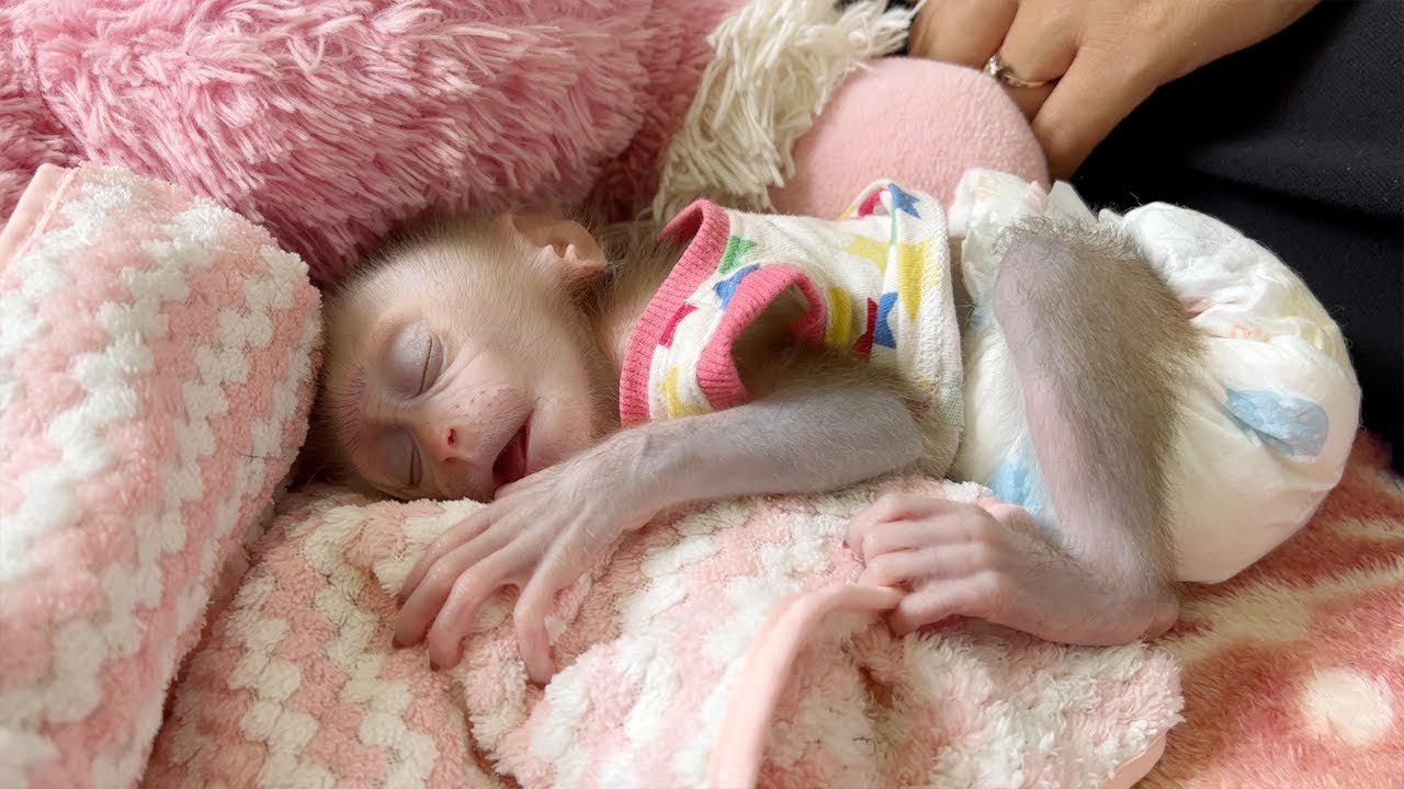 Baby Tauch Very Comfortably Alseep