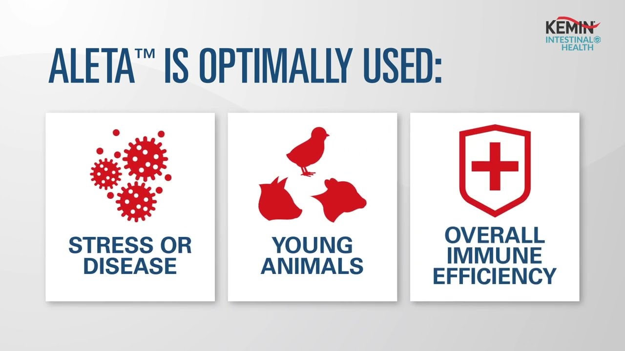 Aleta™: For Optimal Gut Health and Immunity