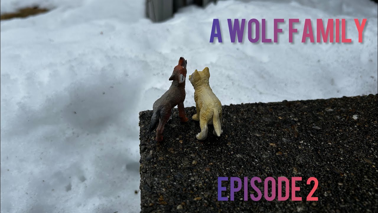 A wolf family (ep 2) wolf/dog series-￼ the den