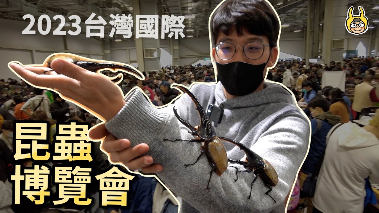 昆蟲展上稀奇巨獸當寵物？超萌巨人守宮吃播、螢光綠竹節蟲、恐龍時代的超巨大蜈蚣！？