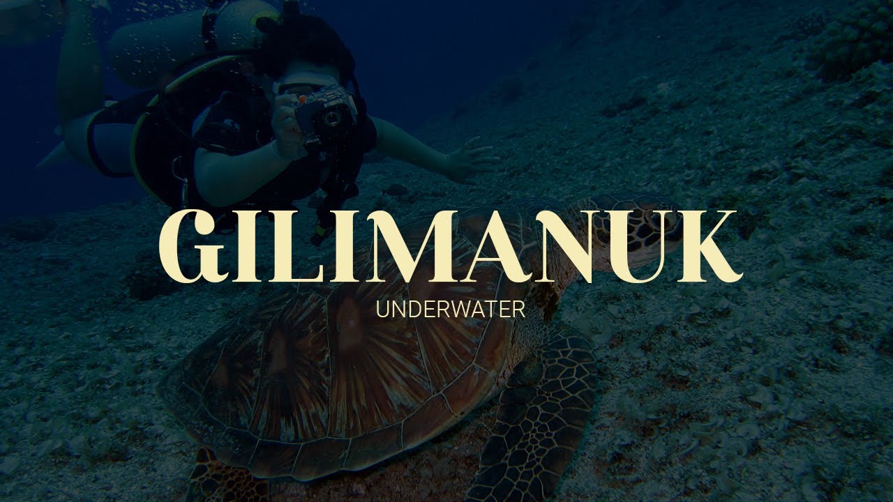Enjoy  the wonderful underwater view in Gilimanuk Bali | Feel Bali