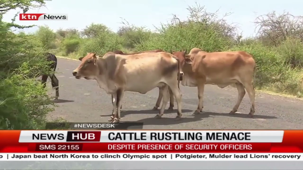 Legislators from Meru county want security bosses transfored due to ongoing cattle rustling
