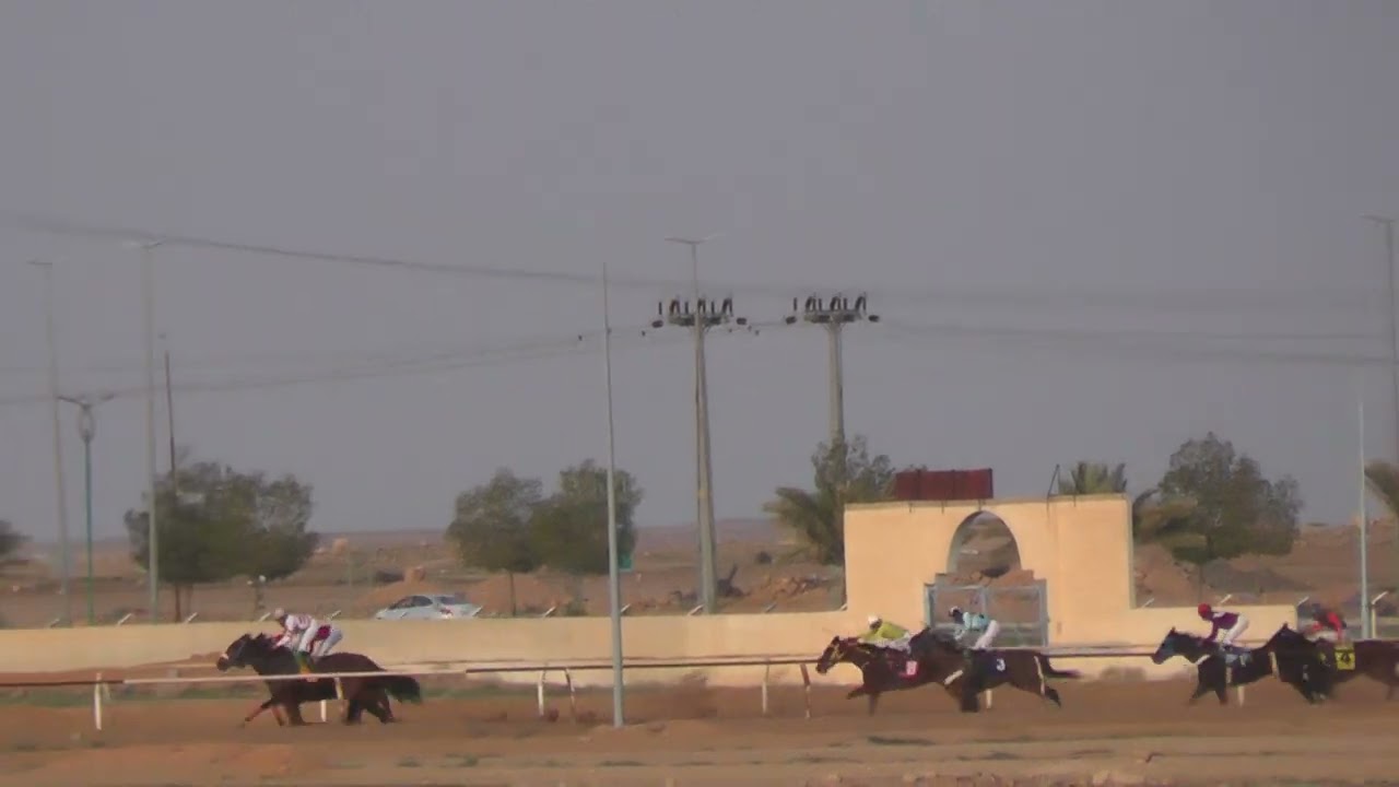 علم الخير الحفل الرابع عشر الشوط الثالث موسم 1445هـ