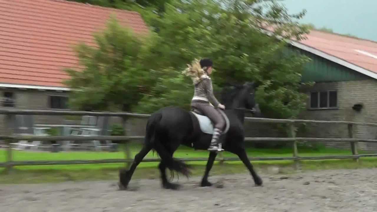 video sto3