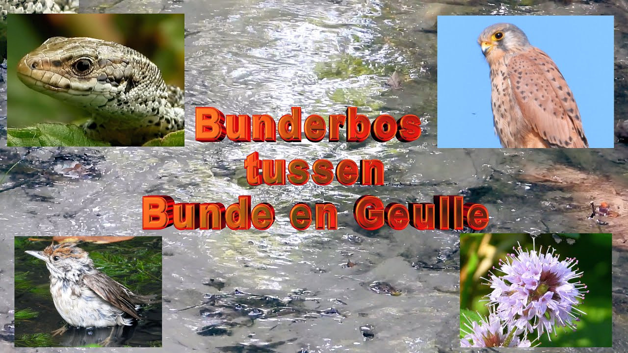Bunderbos in Zuid Limburg